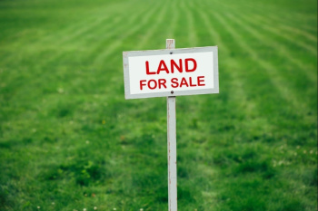  Agricultural Land for Sale in Pandwala Kalan, Delhi