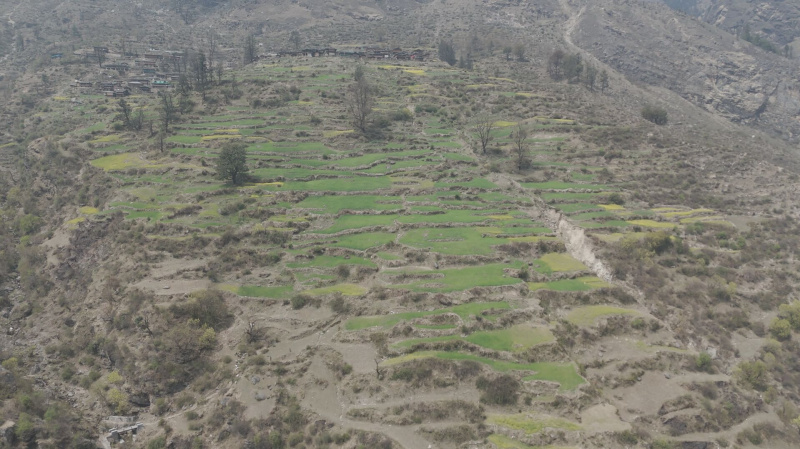  Agricultural Land 75 Bigha for Rent in Barkot, Uttarkashi