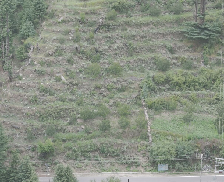  15120 Sq.ft. Agricultural/Farm Land for Sale in Gangotri, Uttarkashi