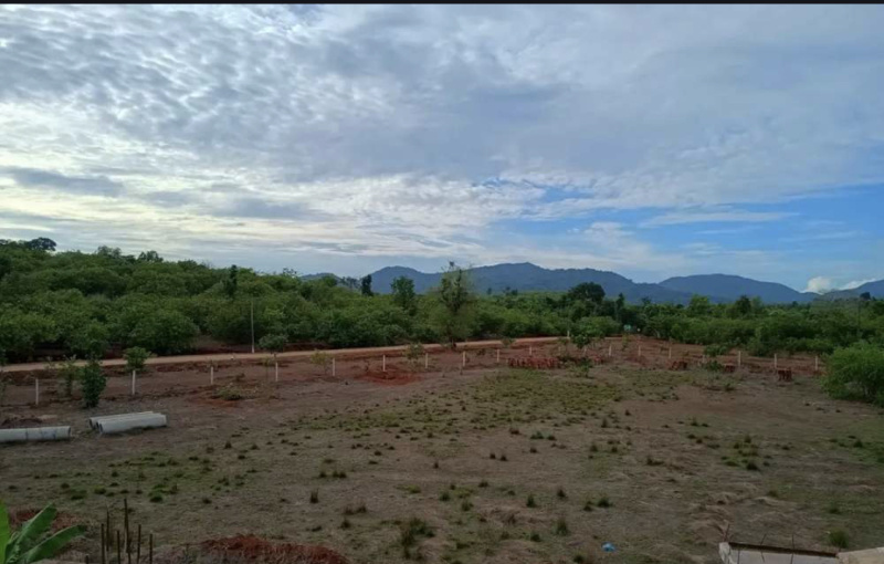  Residential Plot 1 Acre for Sale in Honnavar, Uttara Kannada