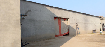  Warehouse for Rent in Sadulshahar, Ganganagar