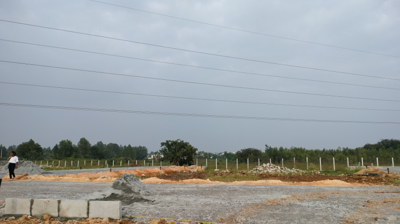  Residential Plot 800 Sq.ft. for Sale in Wilson Garden, Bangalore