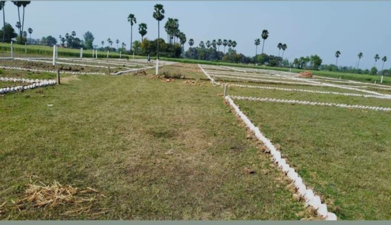  Residential Plot 1360 Sq.ft. for Sale in Bikram, Patna