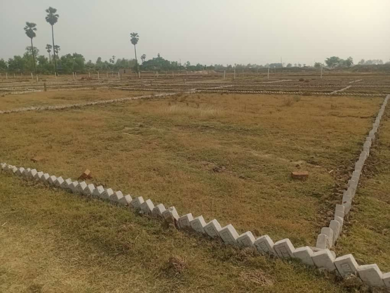  Residential Plot 1360 Sq.ft. for Sale in Bikram, Patna