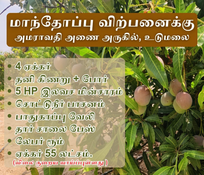  Agricultural Land 4 Ares for Sale in Udumalaipettai, Tirupur