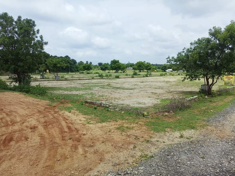  Residential Plot 1200 Sq.ft. for Sale in Pollachi, Coimbatore