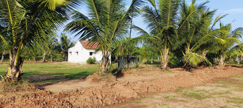  Agricultural Land 9156 Sq.ft. for Sale in Annur, Coimbatore