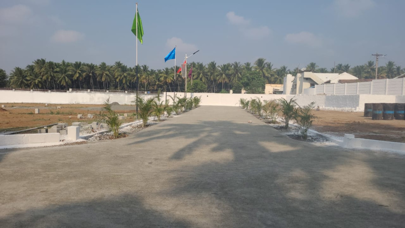  Residential Plot 436 Sq.ft. for Sale in Pongalur, Tirupur