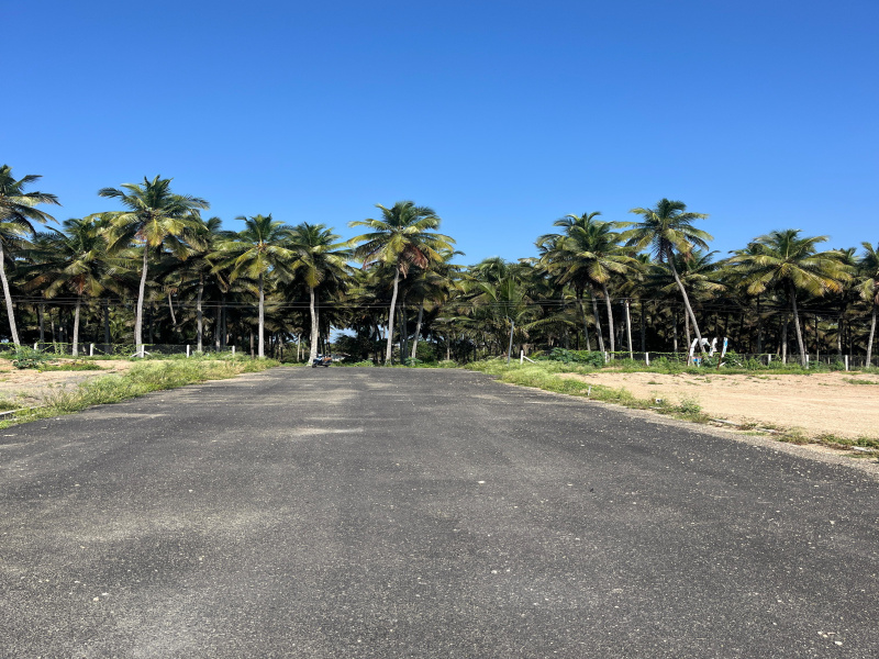  Residential Plot 436 Sq.ft. for Sale in Periya Negamam, Coimbatore