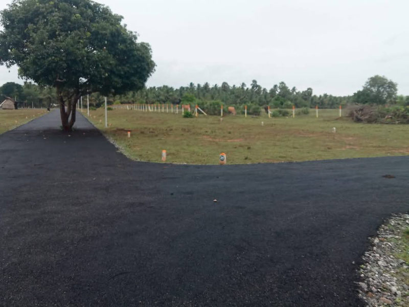  Residential Plot 436 Sq.ft. for Sale in Kinathukadavu, Coimbatore