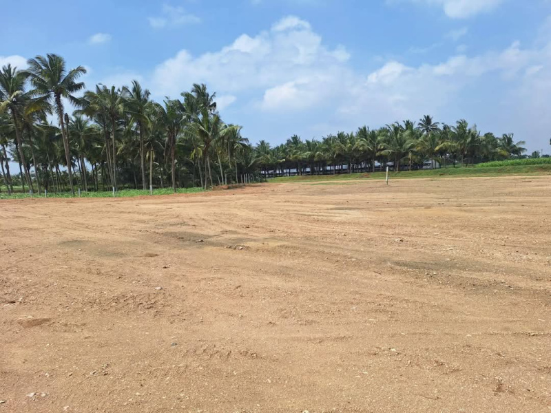  Residential Plot 436 Sq.ft. for Sale in Chettipalayam, Coimbatore