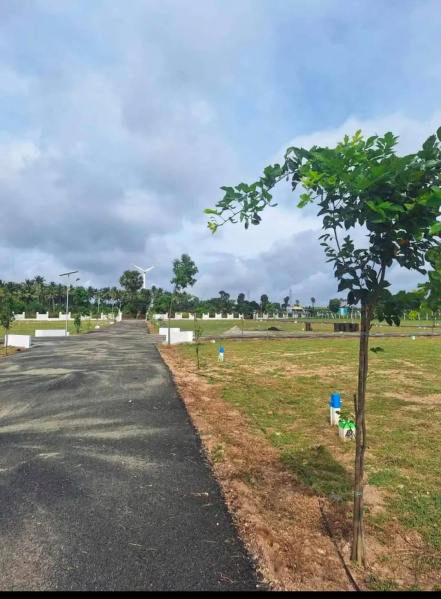  Residential Plot 436 Sq.ft. for Sale in Kinathukadavu, Coimbatore