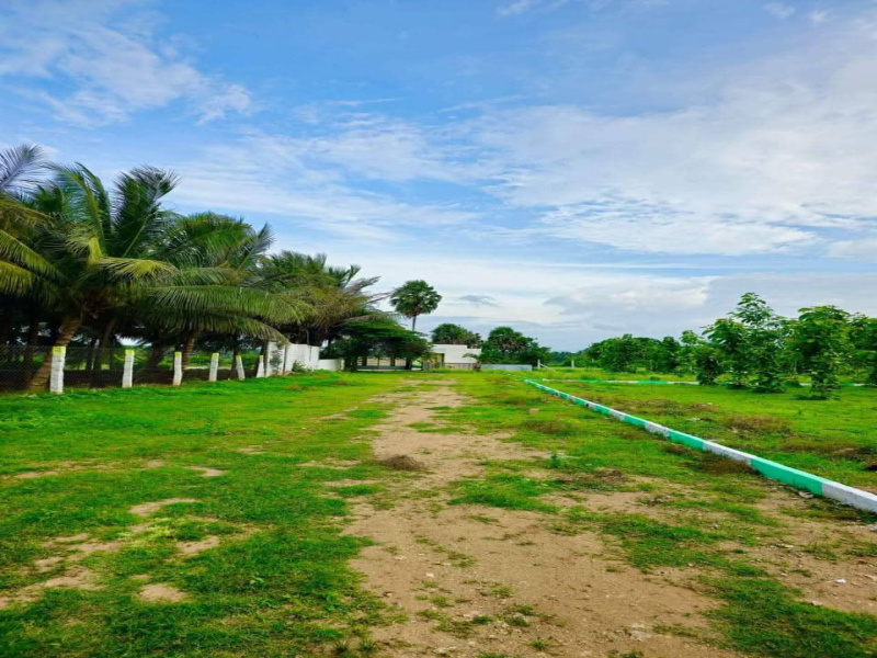  Residential Plot 436 Sq.ft. for Sale in Kinathukadavu, Coimbatore