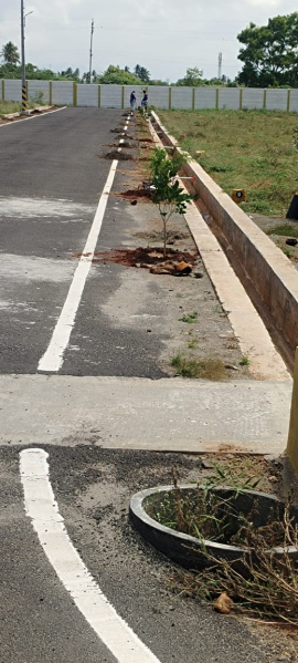  Residential Plot 1200 Sq.ft. for Sale in Pattanam Pudur, Coimbatore