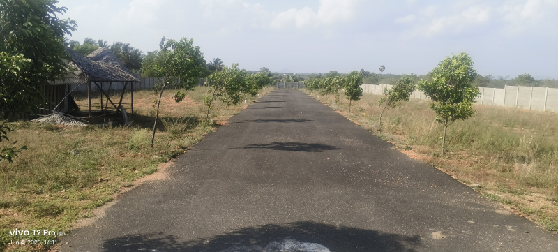  Residential Plot 436 Sq.ft. for Sale in Vellakoil, Tirupur