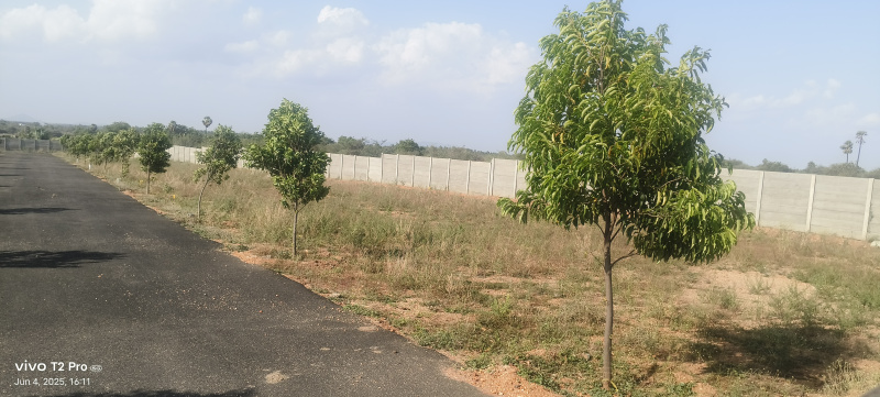 Residential Plot 436 Sq.ft. for Sale in Vellakoil, Tirupur