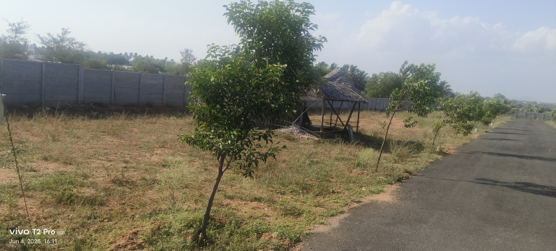  Residential Plot 436 Sq.ft. for Sale in Vellakoil, Tirupur