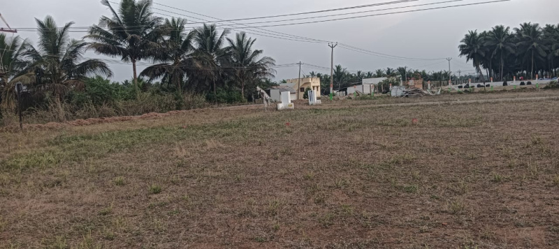  Residential Plot 436 Sq.ft. for Sale in Kinathukadavu, Coimbatore