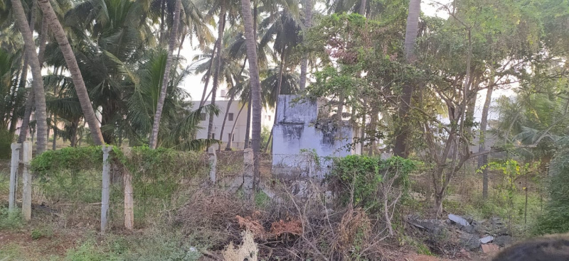  Residential Plot 3 Cent for Sale in Kannampalayam, Coimbatore
