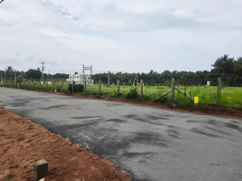  Residential Plot 436 Sq.ft. for Sale in Othakalmandapam, Coimbatore