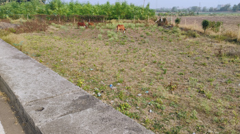  Agricultural Land for Rent in Kobadi, Bhavnagar