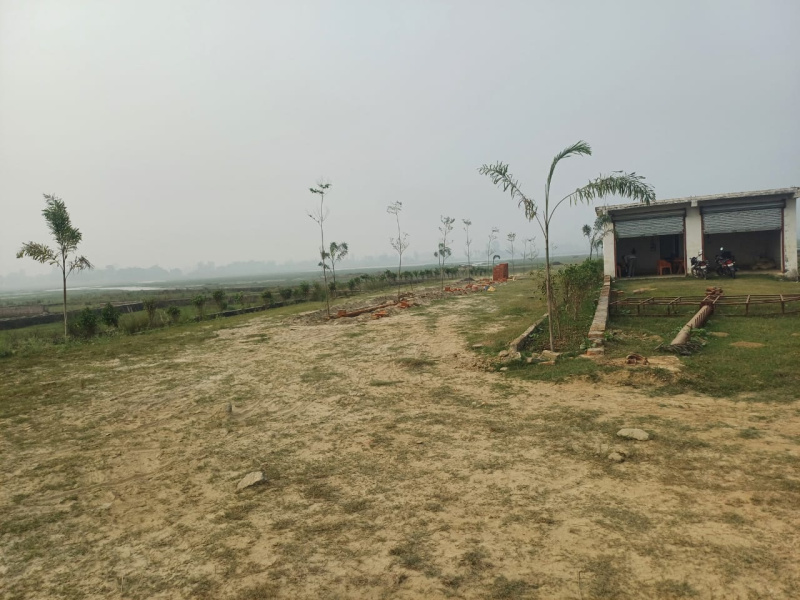  Residential Plot 1000 Sq.ft. for Sale in Jangal Kauria, Gorakhpur