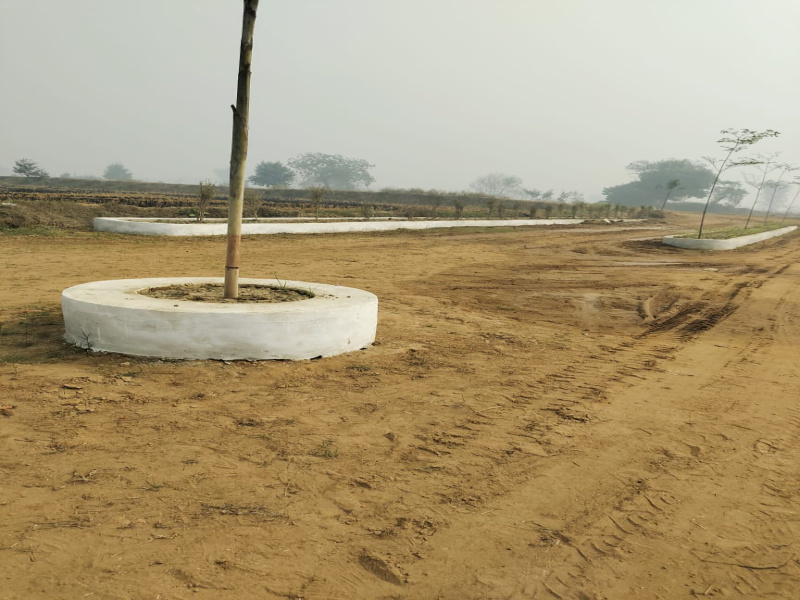  Residential Plot 1500 Sq.ft. for Sale in Hata, Kushinagar