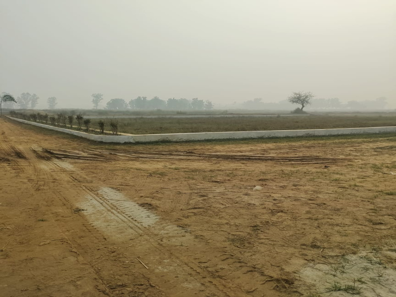  Residential Plot 1500 Sq.ft. for Sale in Hata, Kushinagar