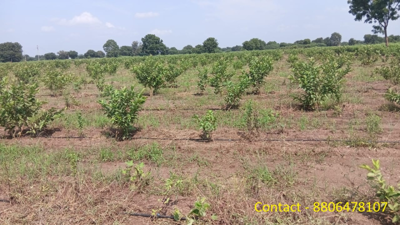  4 Acre Agricultural/Farm Land for Sale in Sindkheda, Dhule