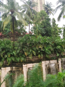  Residential Plot 28700 Sq.ft. for Sale in Malabar Hill, Mumbai