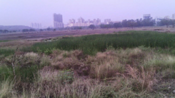  Residential Plot 950 Acre for Sale in Marve Road, Malad West, Mumbai