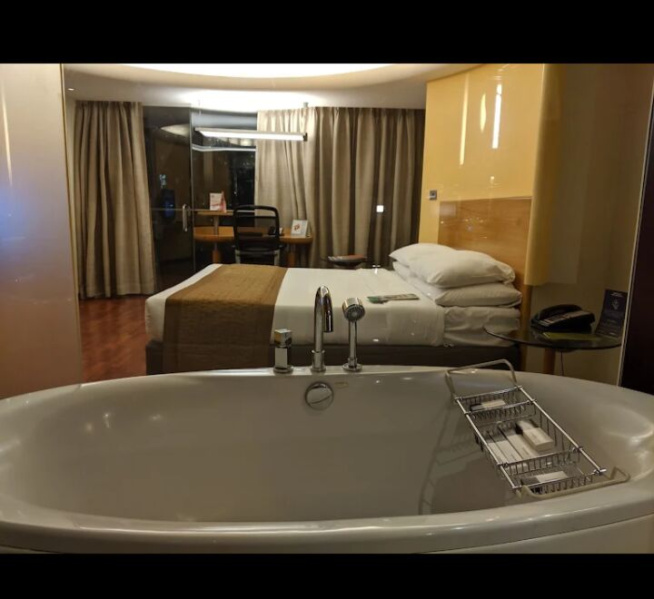  Hotels 500000 Sq.ft. for Sale in Vile Parle, Mumbai