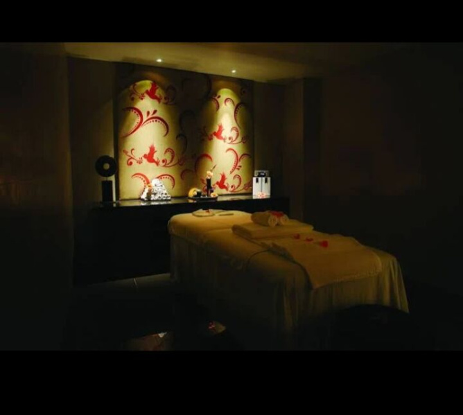  Hotels 600000 Sq.ft. for Sale in Vile Parle, Mumbai