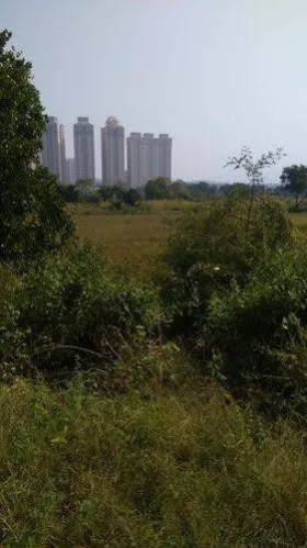  Commercial Land 4200 Sq. Meter for Sale in Santacruz, Mumbai
