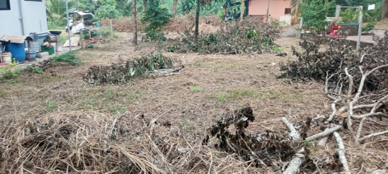  Residential Plot 11 Cent for Sale in Katpadi, Udupi