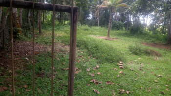  Residential Plot for Sale in Chilavannoor, Kochi