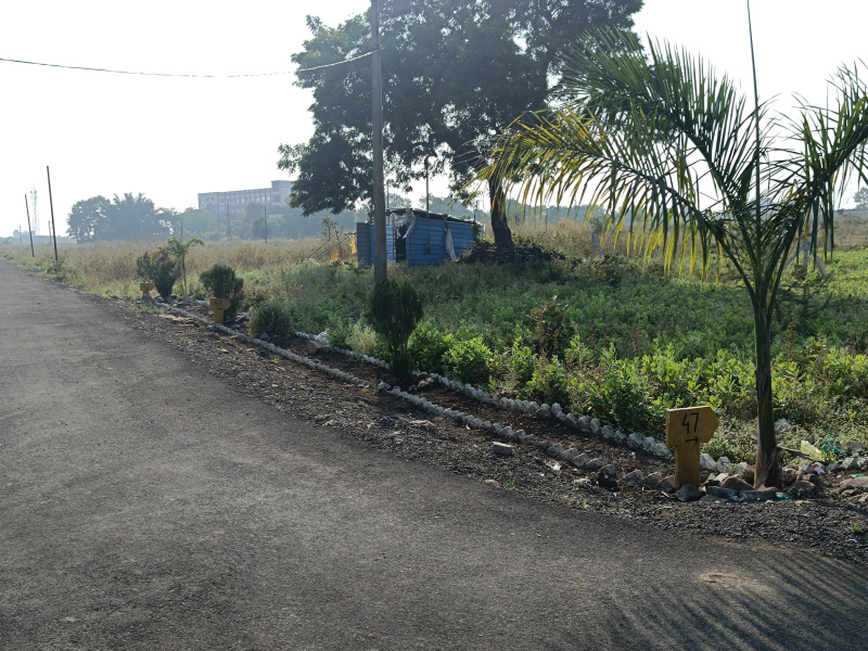  Residential Plot 1775 Sq.ft. for Sale in Borkhedi, Nagpur