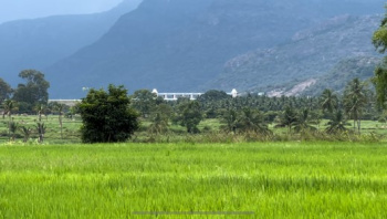  Agricultural Land for Sale in Udumalaipettai, Tirupur