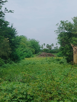  Residential Plot for Sale in Vallioor, Tirunelveli