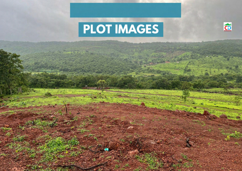  Agricultural Land 20 Guntha for Sale in Kashid, Raigad