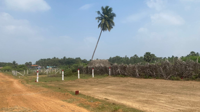  1300 Sq.ft. Commercial Land for Sale in Aranthangi, Pudukkottai