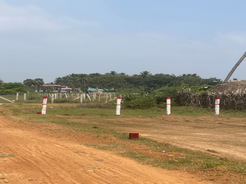  1300 Sq.ft. Residential Plot for Sale in Aranthangi, Pudukkottai