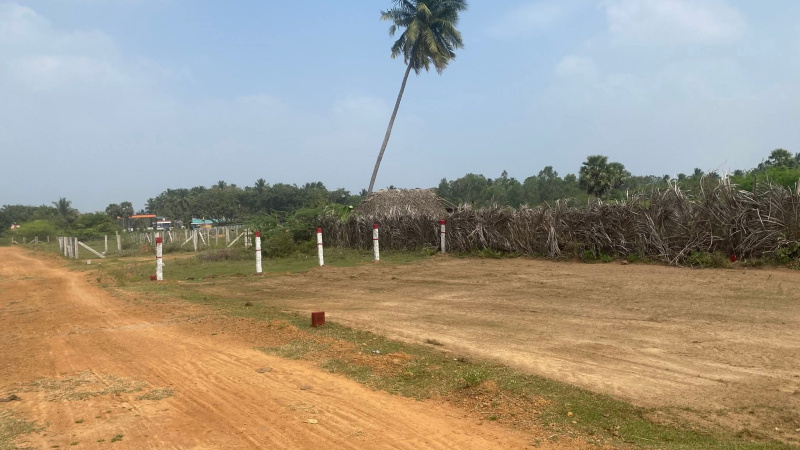  1300 Sq.ft. Residential Plot for Sale in Aranthangi, Pudukkottai