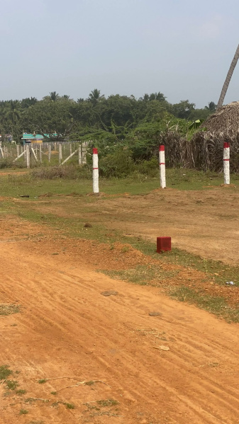  1300 Sq.ft. Residential Plot for Sale in Aranthangi, Pudukkottai