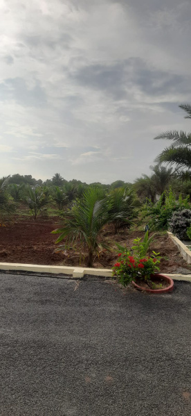  Agricultural Land 21 Cent for Sale in Kinathukadavu, Coimbatore