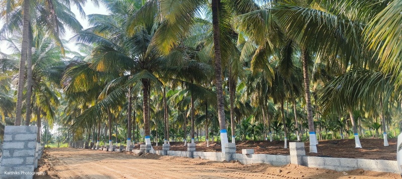  Agricultural Land 20 Cent for Sale in Kinathukadavu, Coimbatore