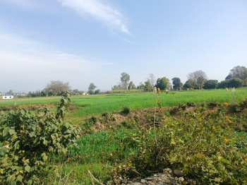  Residential Plot for Sale in Shimla Bypass, Dehradun