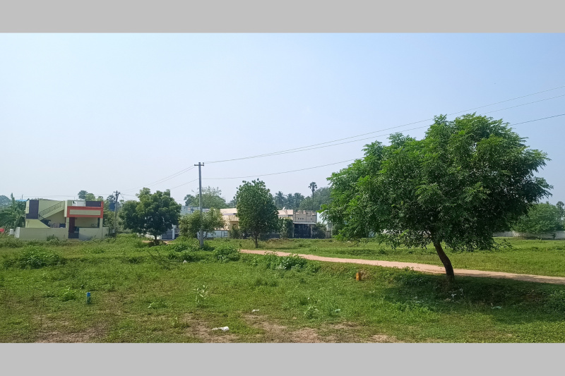  Residential Plot 1200 Sq.ft. for Sale in Manachanallur, Tiruchirappalli