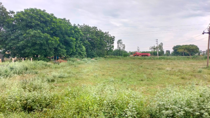  Commercial Land 11000 Sq.ft. for Sale in Punalkulam, Thanjavur