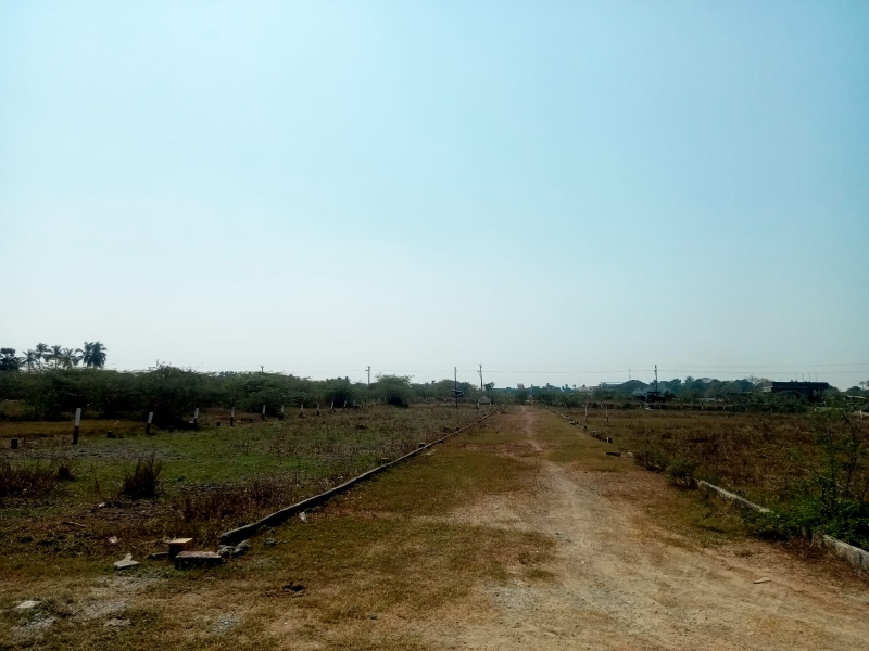  Residential Plot 727 Sq.ft. for Sale in Chengalpet, Chennai